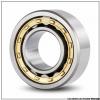 45 mm x 75 mm x 19 mm  ISO NUP2009 cylindrical roller bearings