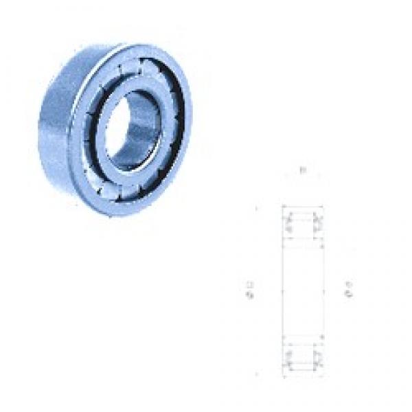 75 mm x 130 mm x 31 mm  Fersa NU2215FM cylindrical roller bearings #3 image